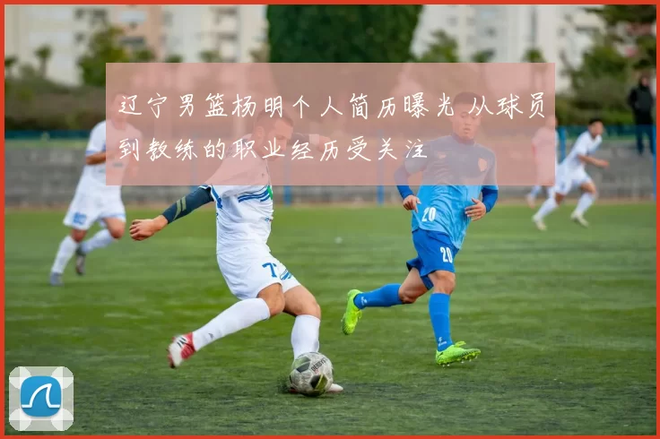 辽宁男篮杨明个人简历曝光 从球员到教练的职业经历受关注