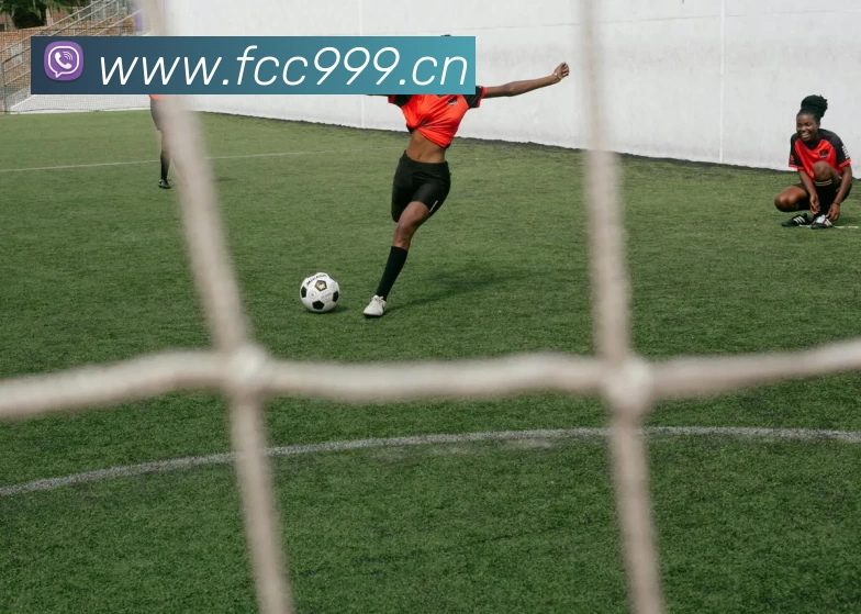 数据防护可视化